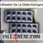 Utilisation De La Gelée Kamagra 31